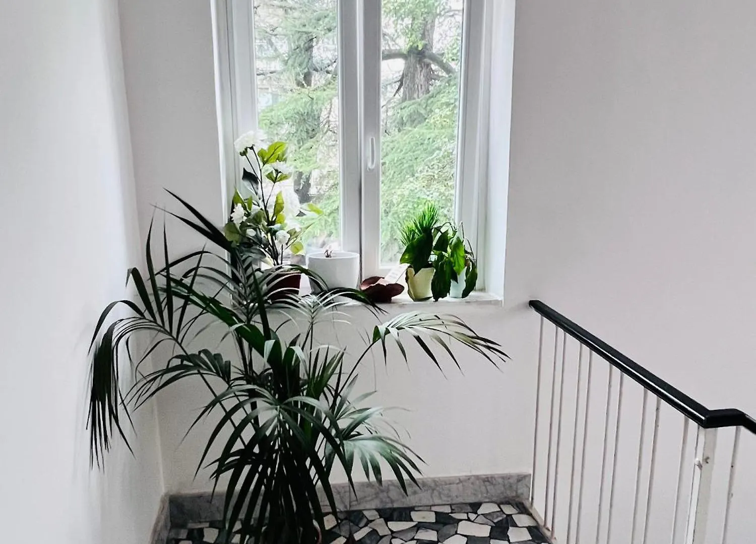 L'Affitta Camere Di Venezia Guest house Venice
